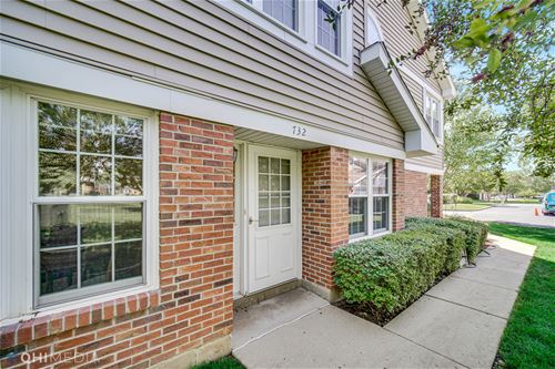 732 W Happfield, Arlington Heights, IL 60004