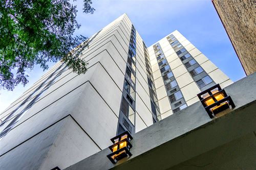 1339 N Dearborn Unit 8H, Chicago, IL 60610