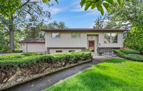 4N162 Maple, Addison, IL 60101