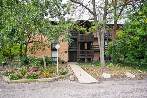 1601 Maple Unit 3A, Lisle, IL 60532