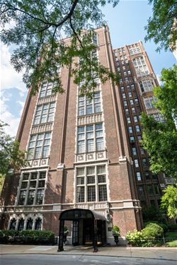 20 E Cedar Unit 15C, Chicago, IL 60611