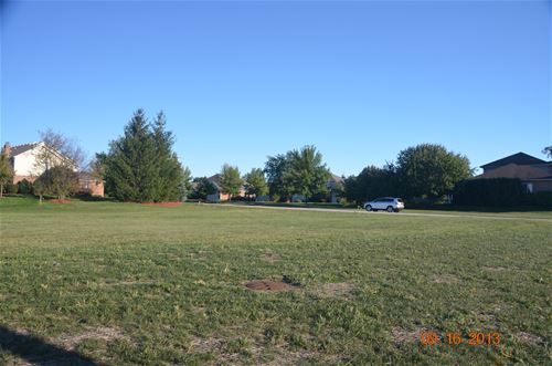 Vacant Hunter Woods Dr. Hunter Woods, Frankfort, IL 60423