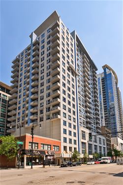 1305 S Michigan Unit 1706, Chicago, IL 60605