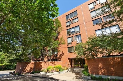 1169 S Plymouth Unit 512, Chicago, IL 60605