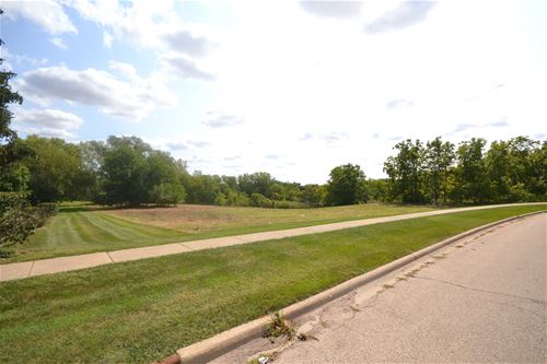 Lot 1 Highland Springs, Elgin, IL 60123
