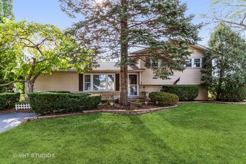 185 Shadywood, Elk Grove Village, IL 60007