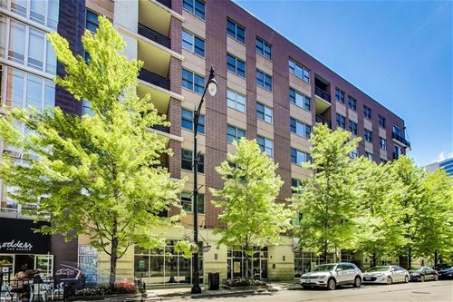 873 N Larrabee Unit 406, Chicago, IL 60610
