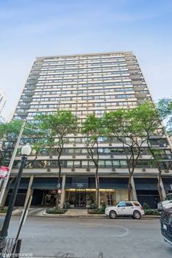 33 E Cedar Unit 5B, Chicago, IL 60611