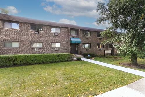 77 W Central Unit 105, Roselle, IL 60172