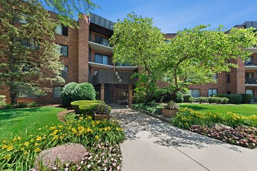 950 E Wilmette Unit 316, Palatine, IL 60074