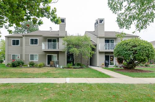 45 Orchard Unit 3, Lombard, IL 60148