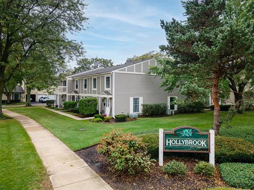 1668 Williamsburg Unit B, Wheaton, IL 60189