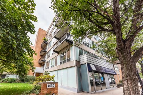 1430 S Michigan Unit 504, Chicago, IL 60605