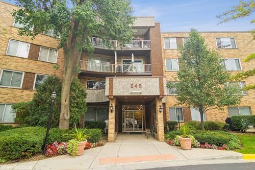 245 S Park Unit 219, Palatine, IL 60074