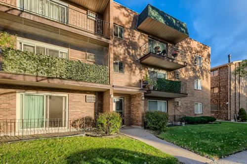 10611 Parkside Unit 202, Chicago Ridge, IL 60415