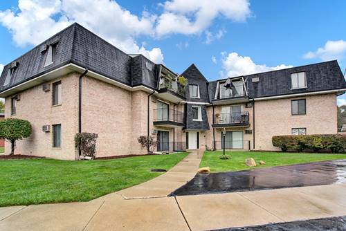 7000 Mather Unit 305, Chicago Ridge, IL 60415