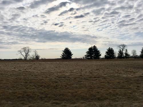 Lot #48 E Longwood, Woodstock, IL 60098