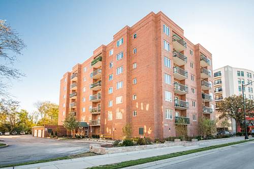 555 S River Unit 206, Des Plaines, IL 60016