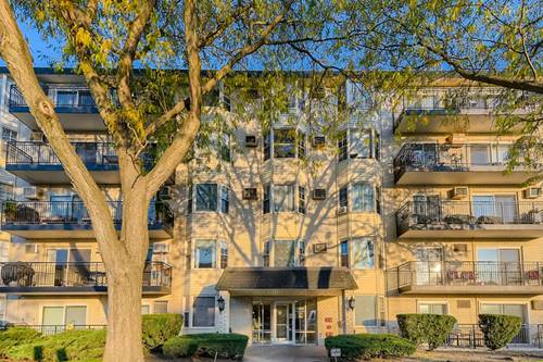 5506 Lincoln Unit A419, Morton Grove, IL 60053