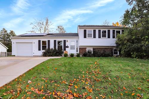 419 Selkirk, Schaumburg, IL 60194