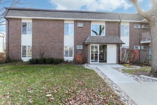 1103 Miller Unit 101, Buffalo Grove, IL 60089