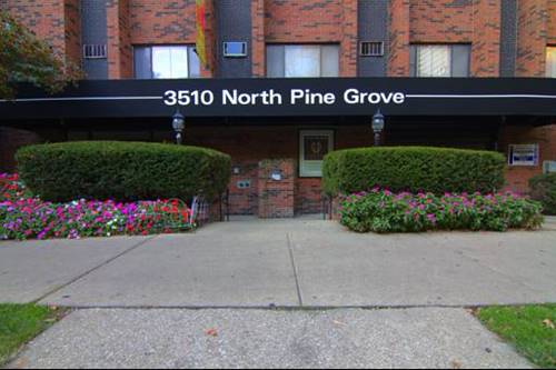 3510 N Pine Grove Unit 313, Chicago, IL 60657