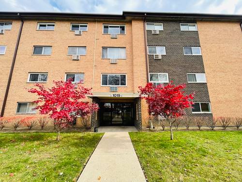 1019 N Boxwood Unit 104, Mount Prospect, IL 60056