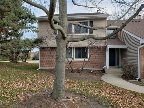 1046 Pinetree Unit 1046, Buffalo Grove, IL 60089