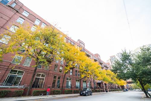 550 N Kingsbury Unit 420, Chicago, IL 60654