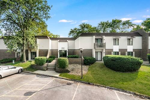 521 73rd Unit 101, Downers Grove, IL 60516