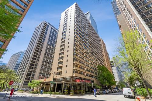 850 N Dewitt Unit 12G, Chicago, IL 60611