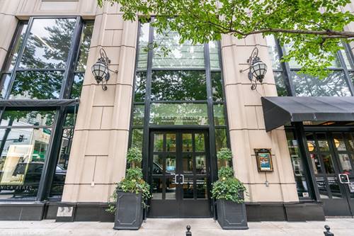 11 E Walton Unit 5500, Chicago, IL 60611