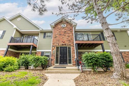 1577 Raymond Unit 104, Naperville, IL 60563