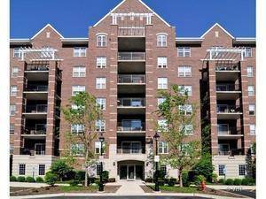 390 W Mahogany Unit 607, Palatine, IL 60067