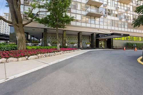 1000 N Lake Shore Unit 1603, Chicago, IL 60611
