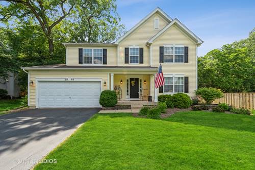 3049 Shenandoah, Carpentersville, IL 60110