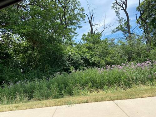 Lot 1 55th, Downers Grove, IL 60515