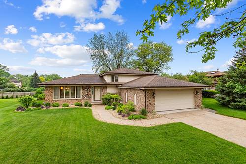 12061 Winchester, Orland Park, IL 60467