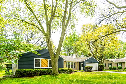 549 N Clifton, Elgin, IL 60123