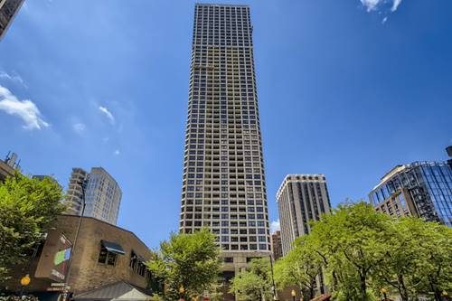 1030 N State Unit 16K, Chicago, IL 60610