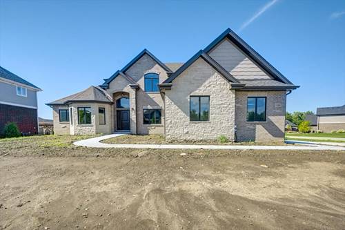 11888 Heinecke, Mokena, IL 60448