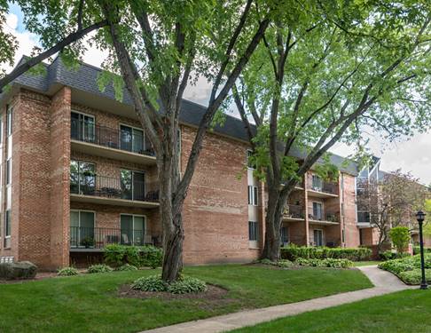 1041 N Mill Unit 205, Naperville, IL 60563