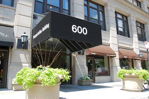 600 S Dearborn Unit 705, Chicago, IL 60605