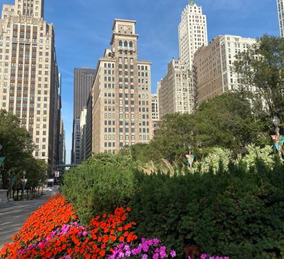 6 N Michigan Unit 1511, Chicago, IL 60602