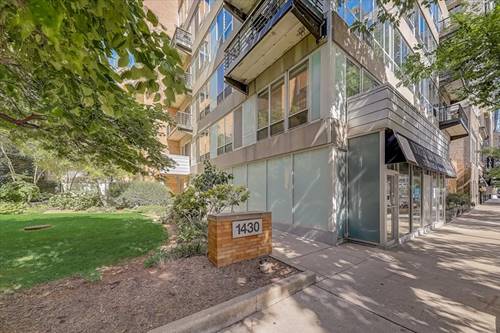 1430 S Michigan Unit 202, Chicago, IL 60605