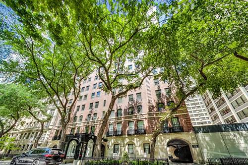 210 E Pearson Unit 14AB, Chicago, IL 60611
