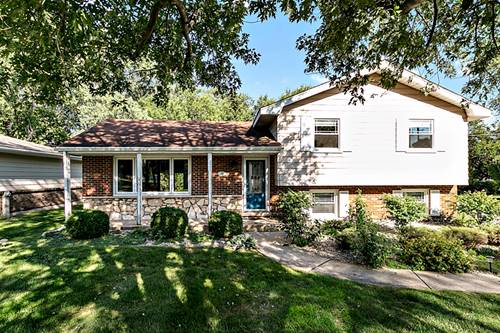 233 Center, Frankfort, IL 60423