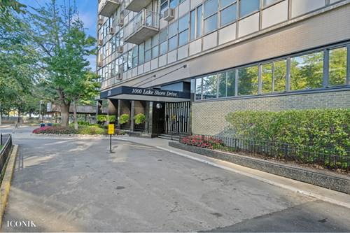 1000 N Lake Shore Unit 1002, Chicago, IL 60611