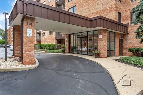 905 Center Unit B202, Des Plaines, IL 60016