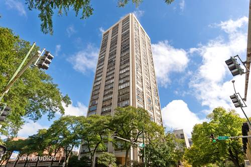 70 W Burton Unit 1007, Chicago, IL 60610